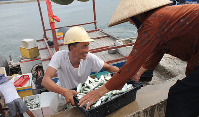 Hải sản tầng đáy biển miền Trung đã cơ bản an toàn
