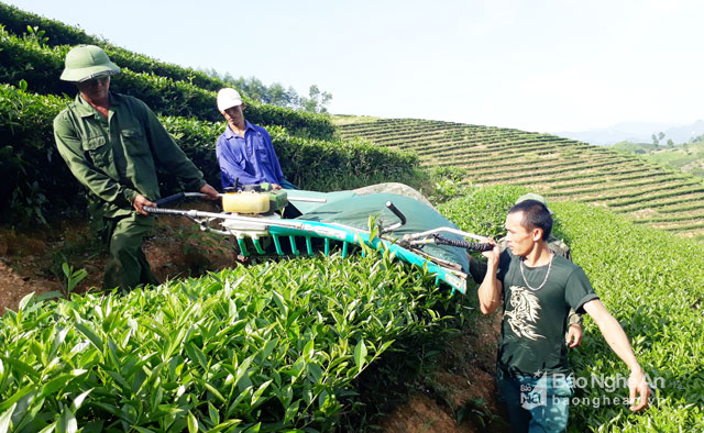 Phong trào thi đua yêu nước của cộng đoàn giáo dân Anh Sơn - Nghệ An