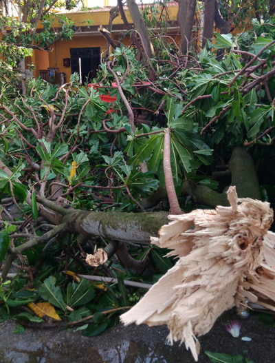 Cơn bão Tembin gây thiệt hại nhiều tài sản ở huyện đảo Trường Sa