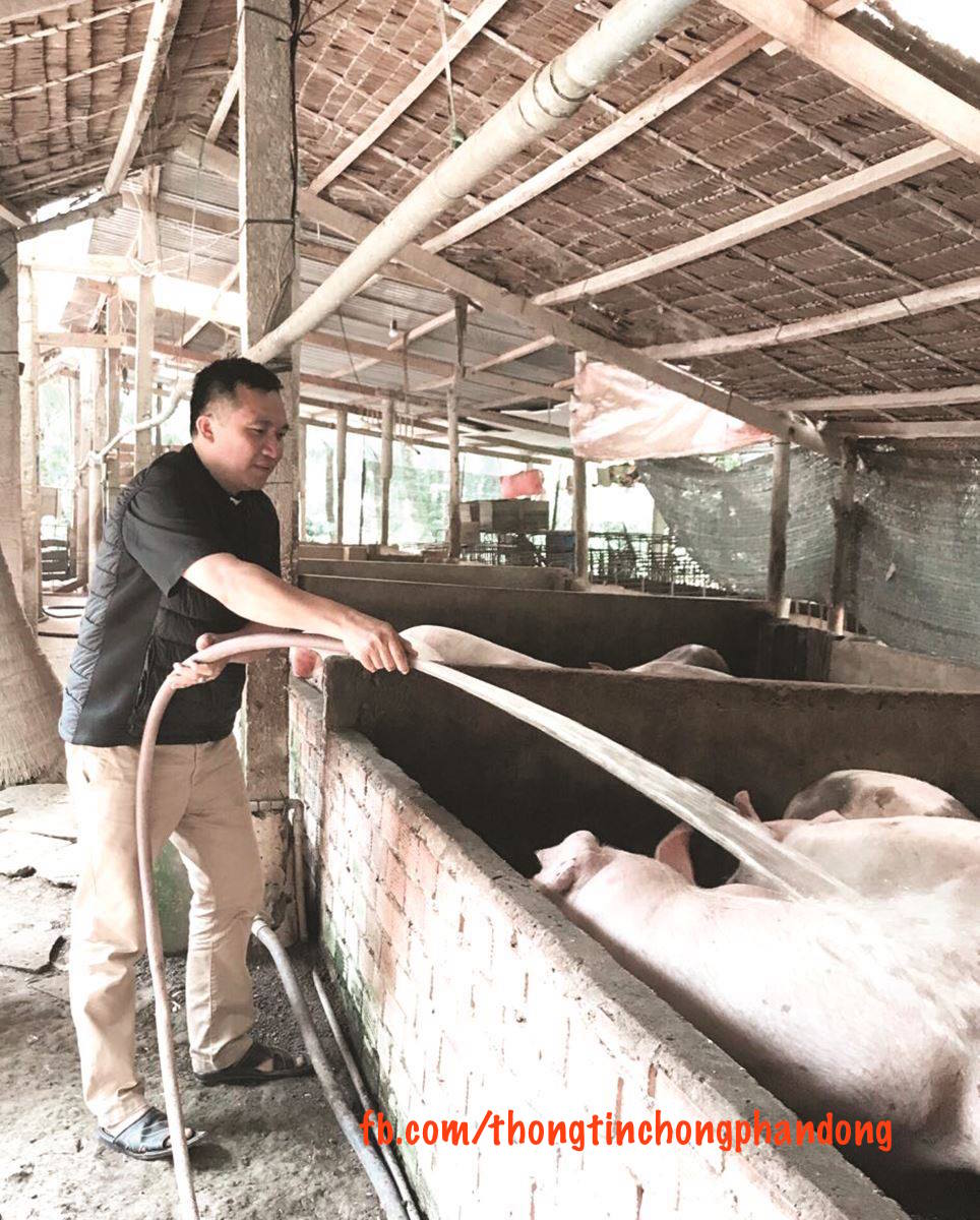 Linh mục Nguyễn Sang chánh xứ Ba Giồng, Mỹ Tho: tích cực lao động, sản xuất vì người nghèo