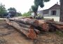 Bộ Công an vây bắt gỗ lậu cực lớn sát đồn Biên phòng ở Buôn Đôn, Đắk Lắk