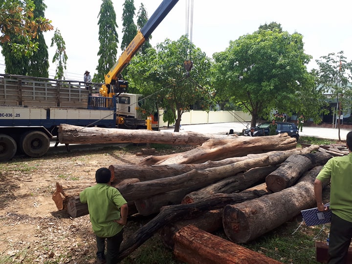 Bộ Công an vây bắt gỗ lậu cực lớn sát đồn Biên phòng ở Buôn Đôn, Đắk Lắk