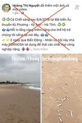 Thực hư tin đồn cá chết ở bờ biển gần khu vực Formosa