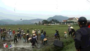 Linh mục quản xứ Kẻ Gai, huyện Hưng Nguyên, Nghệ An kích động giáo dân lấn chiếm đất trái pháp luật, tấn công người thi hành công vụ