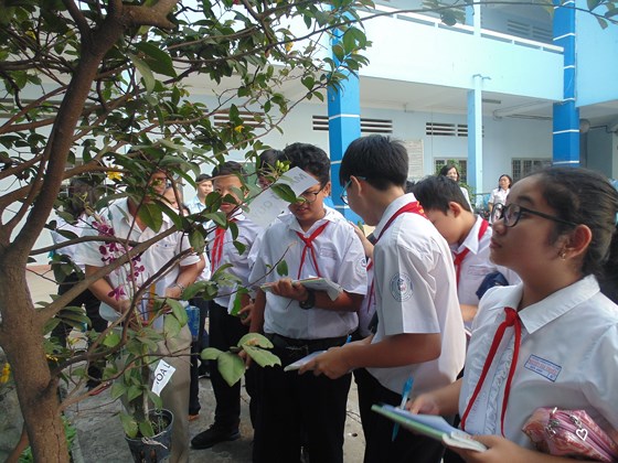 TP Hồ Chí Minh thống nhất đề xuất miễn học phí cho học sinh bậc THCS