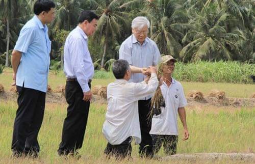 Chuyện ghi trên cánh đồng lớn ở Bến Tre